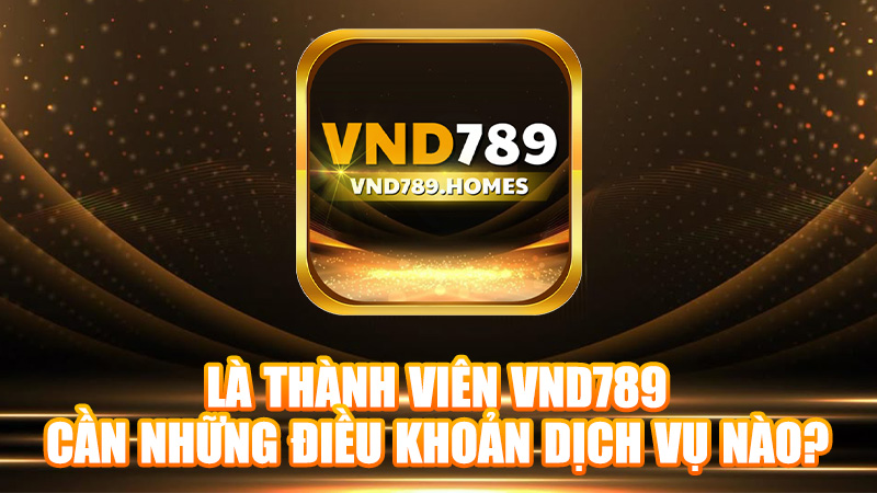 Là thành viên VND789, bạn cần những điều khoản dịch vụ nào?