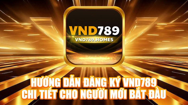 Hướng dẫn đăng ký VND789 chi tiết cho người mới bắt đầu.