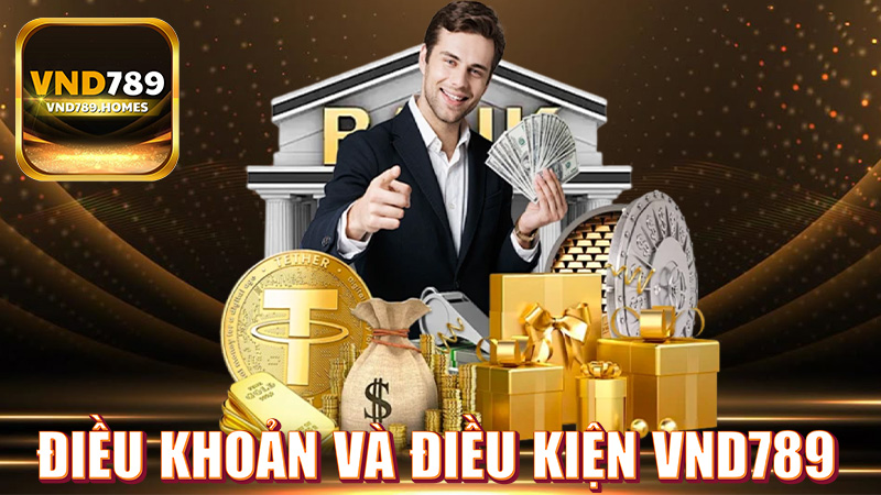 Điều khoản và điều kiện VND789 – Trách nhiệm và quyền lợi của người chơi