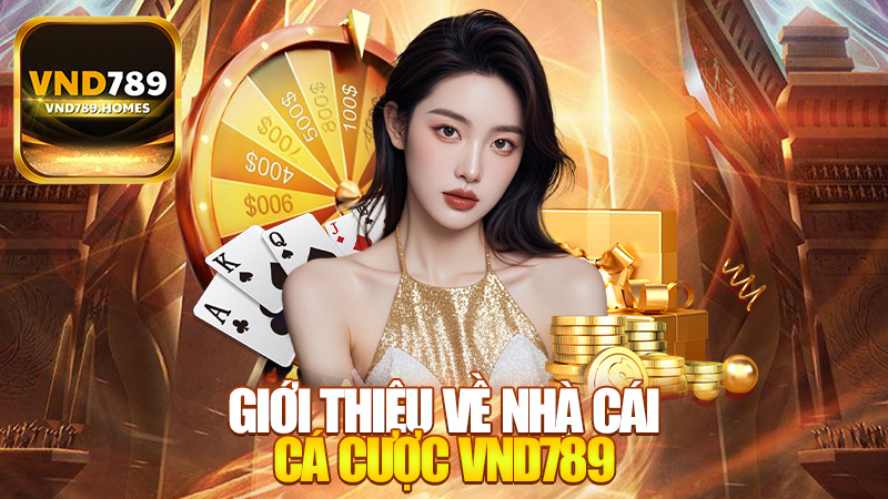 Giới thiệu về nhà cái cá cược VND789